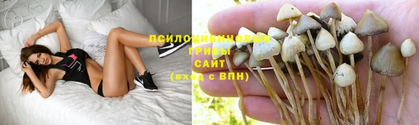 соль ск Алексин
