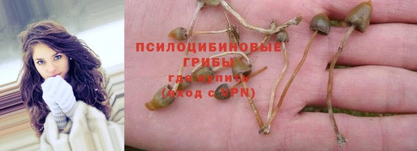 мет Алзамай