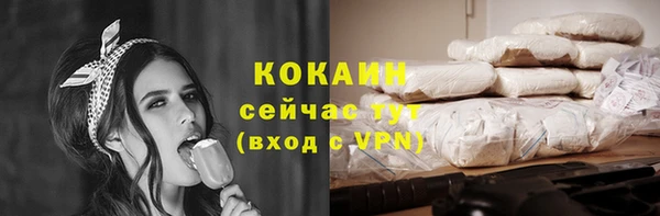 соль ск Алексин