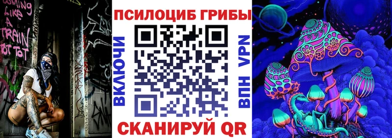 Галлюциногенные грибы Psilocybine cubensis Александровское